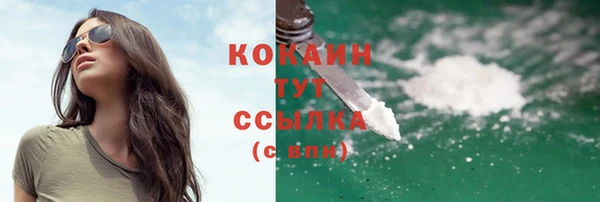 стаф Дмитриев