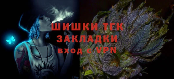 стаф Дмитриев