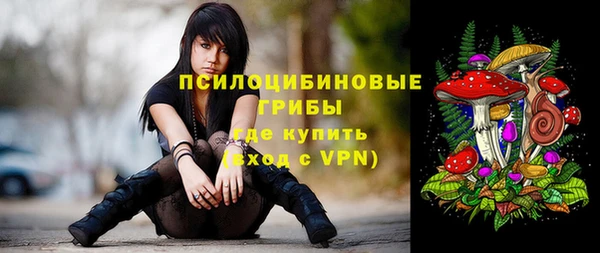 альфа пвп Дмитровск