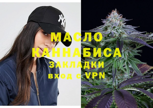 стаф Дмитриев