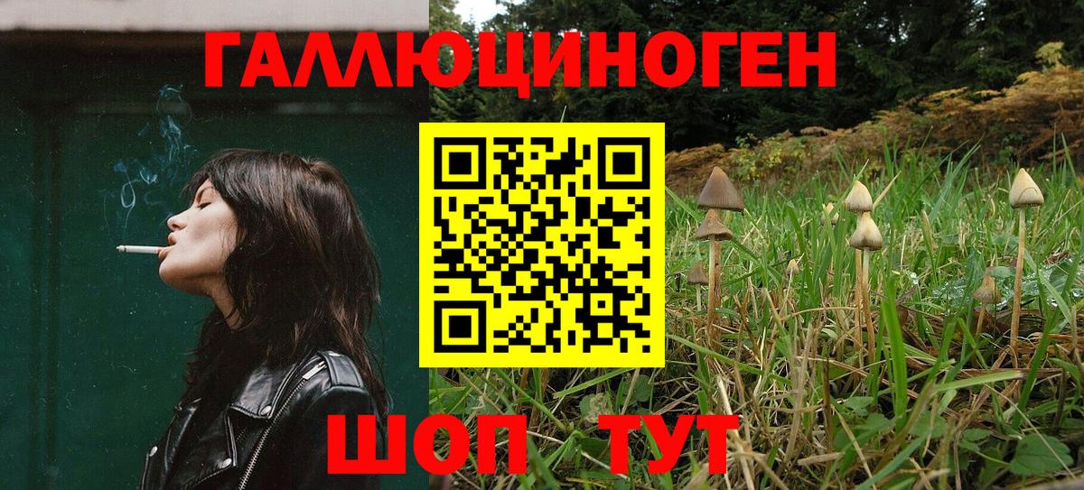 Наро-Фоминск  Галлюциногенные грибы Cubensis  Вход с VPN  Галлюциногенные грибы прущие грибы 