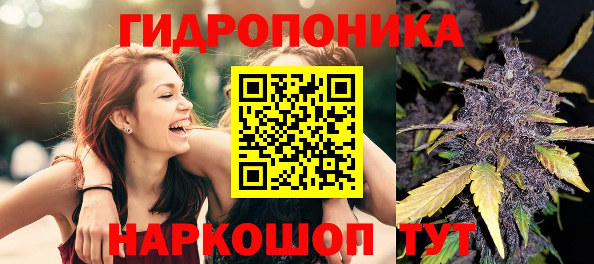 Бошки марихуана марихуана  Вход с VPN  Каннабис AK-47  Наро-Фоминск 